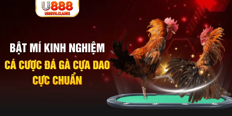 caxeng win trong baccarat, ai là người chia bài chính？