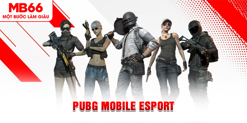 caxeng win gà chọi c1 mới nhất