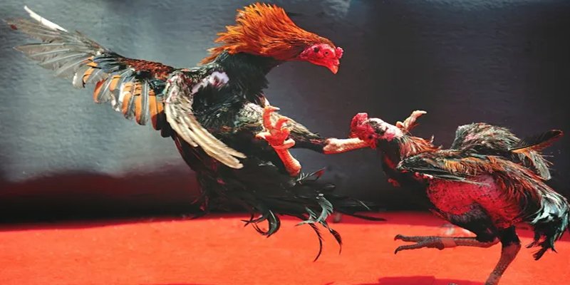 caxeng win đăng nhập nổ hũ số 1