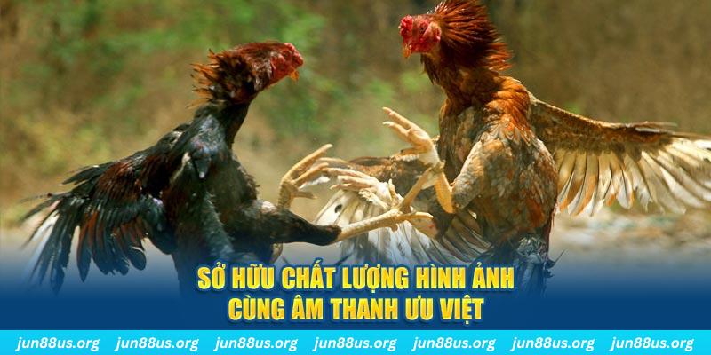 caxeng win bắn cá 30