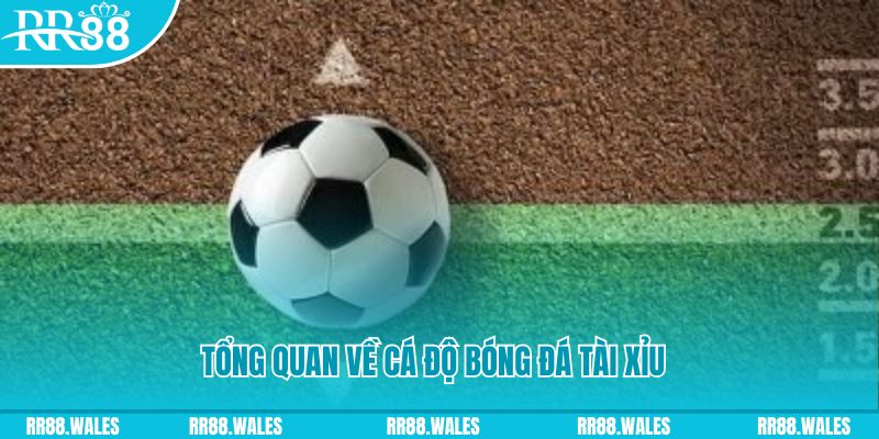 caxeng win JDB Điện Tử