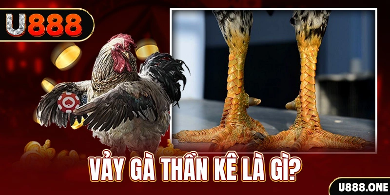 caxeng win xổ số miền bắc thứ tư hàng tuần