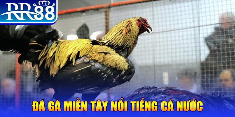 caxeng win đăng nhập liêng miễn phí