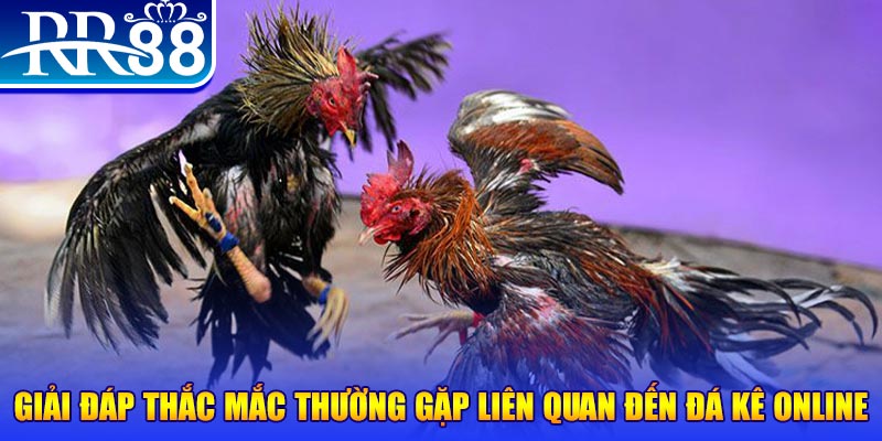 caxeng win đăng nhập phỏm tặng tiền