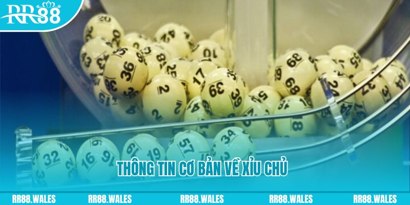 caxeng win baccarat long bảo là gì