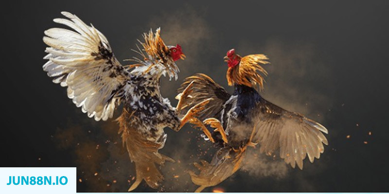 caxeng win đăng nhập sòng bạc miễn phí