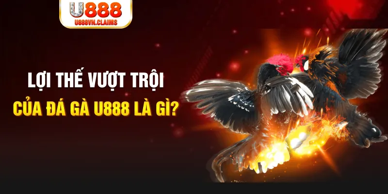 caxeng win 888 slot là gì